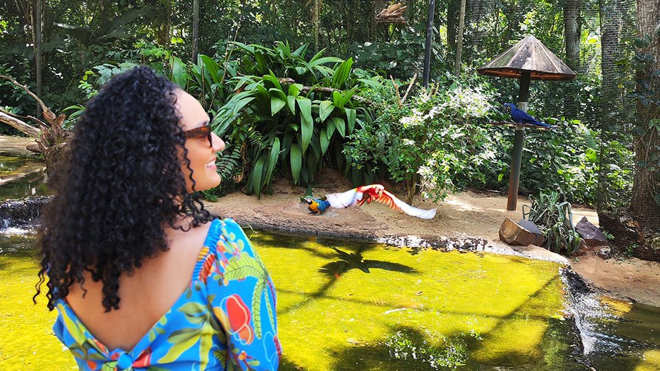 Fim de ano em Foz do Iguaçu: opções incríveis para curtir em grande estilo.