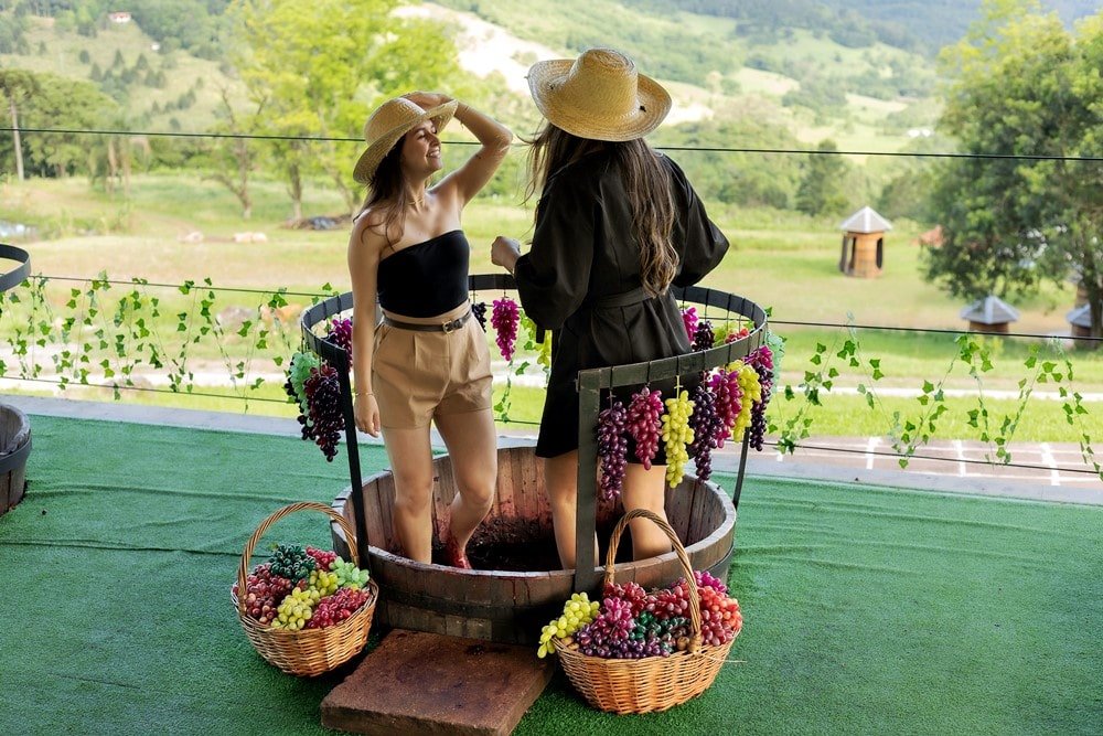 Vindima 2026 na Serra Gaúcha: O Guia Completo para Viver a Magia da Colheita em Gramado e Região