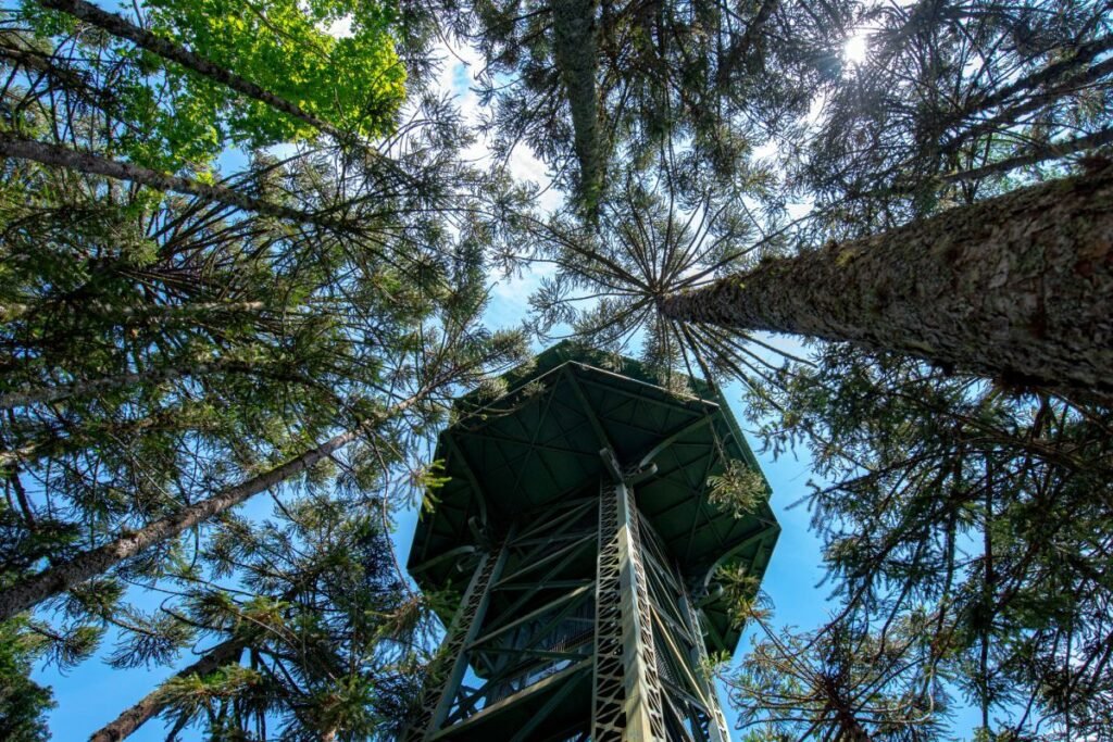Aproveite o melhor da Serra Gaúcha com economia