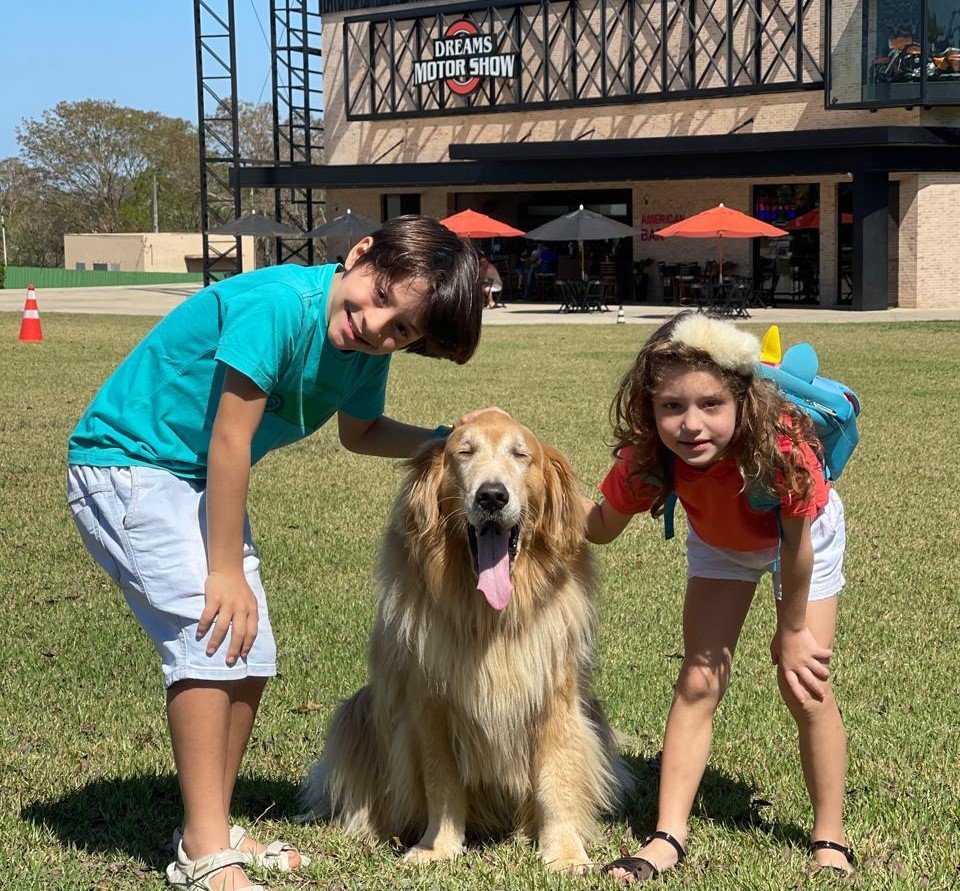Foz do Iguaçu pet friendly: locais para levar seu pet
