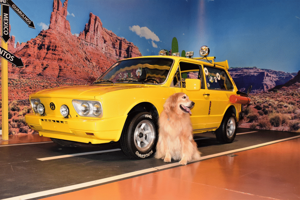 Foz do Iguaçu pet friendly: locais para levar seu pet