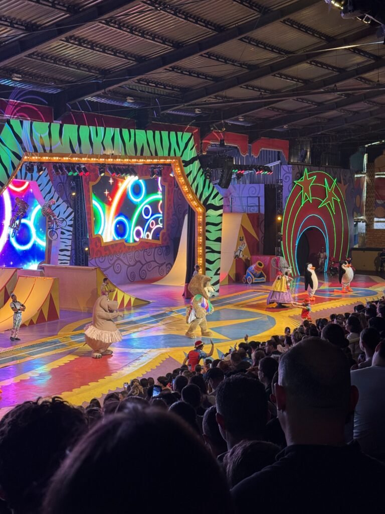 Beto Carrero World: saiba como aproveitar o parque