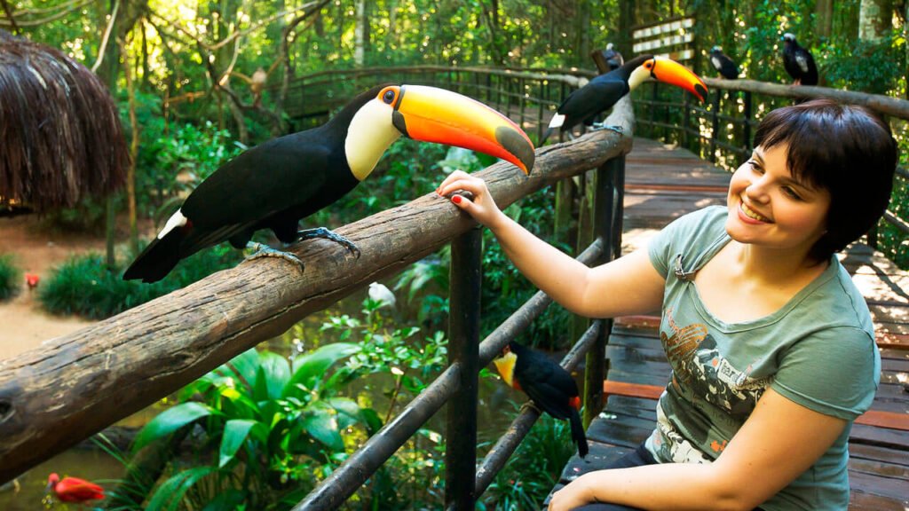 Roteiro de 3 dias em Foz do Iguaçu: conheça as experiências