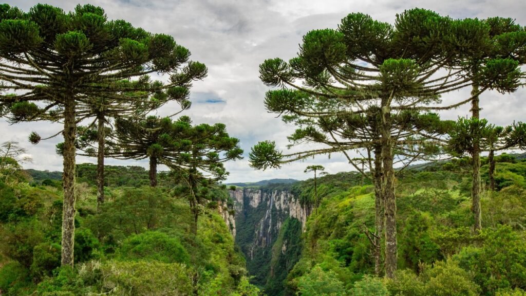 Serra Gaúcha em 4 dias: roteiro por Gramado e Canela