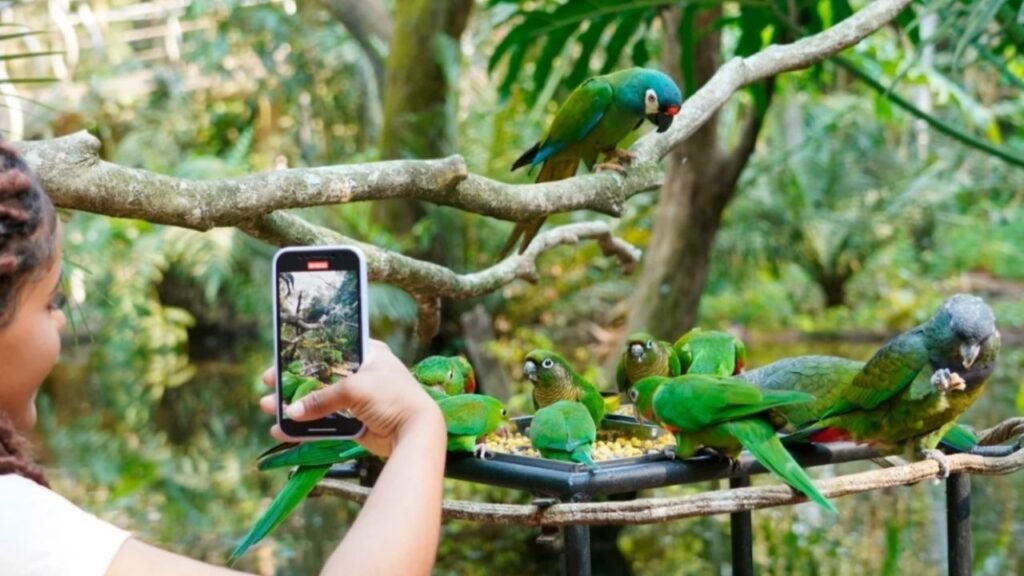 Foz do Iguaçu em 5 dias: roteiro único para aproveitar